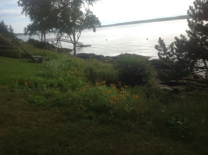 3A3DCB3D-9A1D-4C5C-8341-CF02B8BACB88