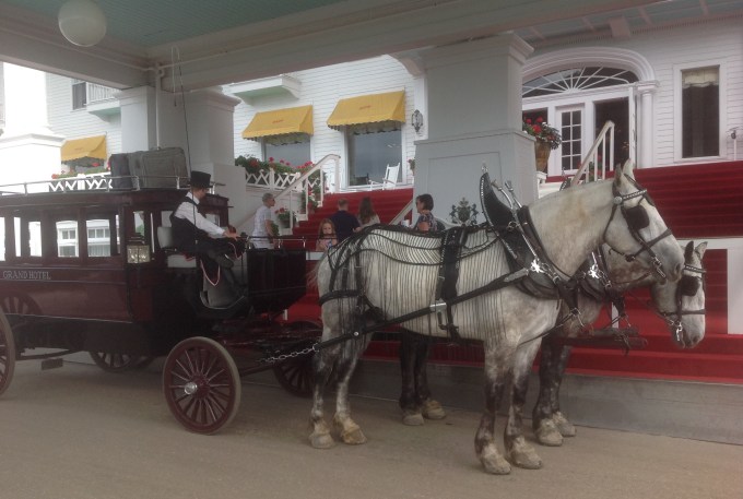 E2D5B359-8097-489D-822A-28BDAA67A806